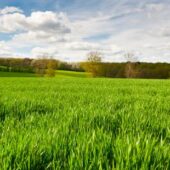 Reduce Your Footprint