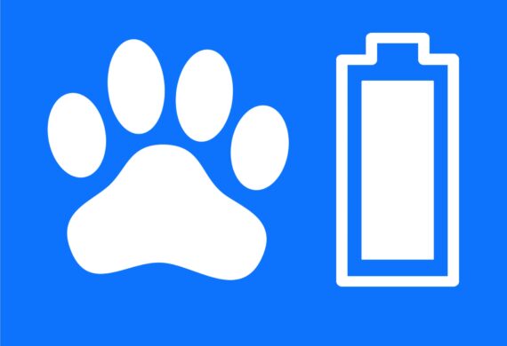 BESS Footprint